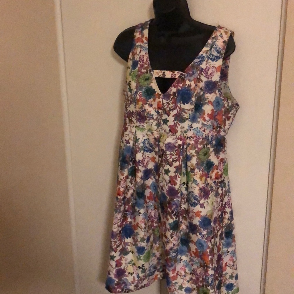 Flower Fit and Flare Dress